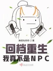 ص治NPC